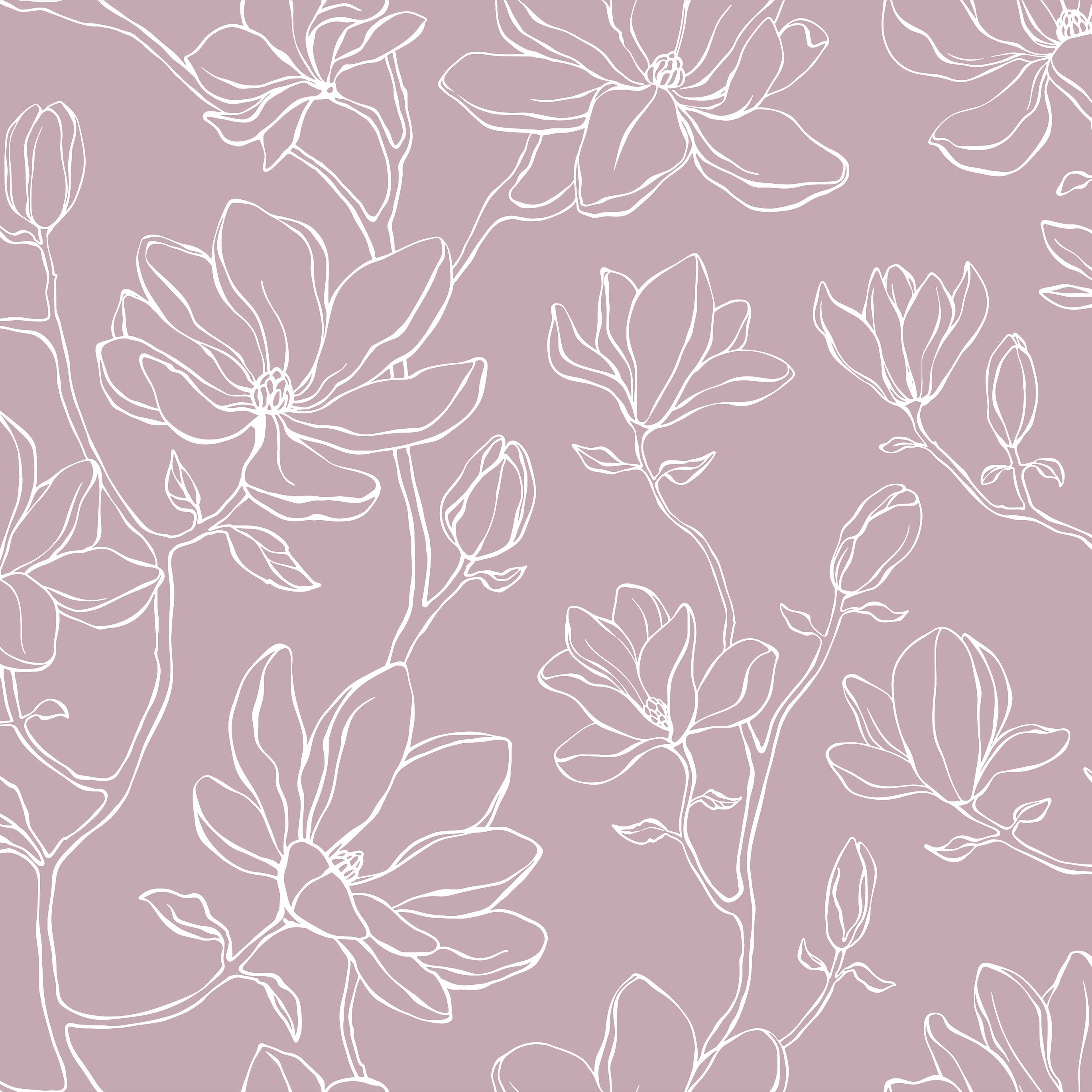Magnolia